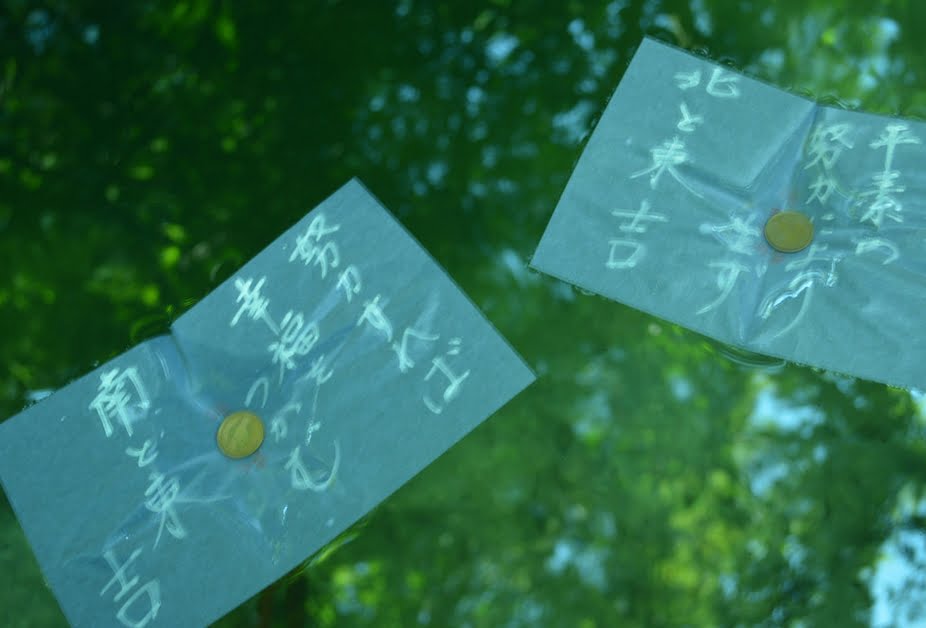 八重垣神社の鏡の池の和紙の占い